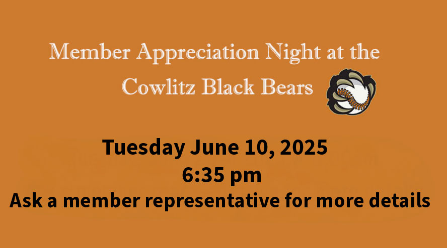 Black Bears