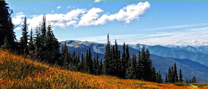 Lower Columbia FCU - Mountain Scene